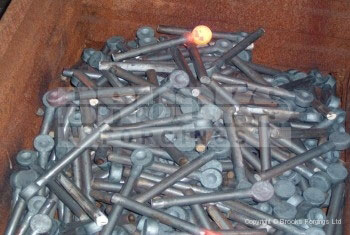 46 - 20mm x 200mm forged swing bolt blanks