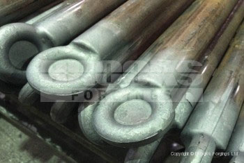 58 - Special eye bolt blanks for nuclear application