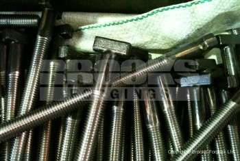 31 - Special Bolts and Fasteners